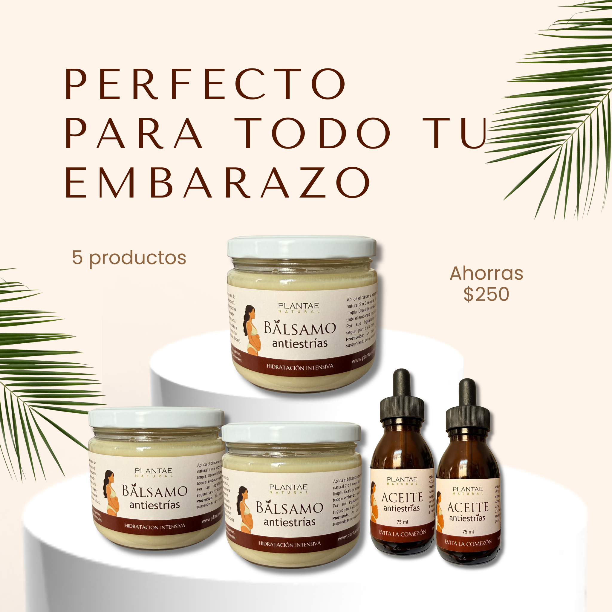 Kit Ahorro Máximo