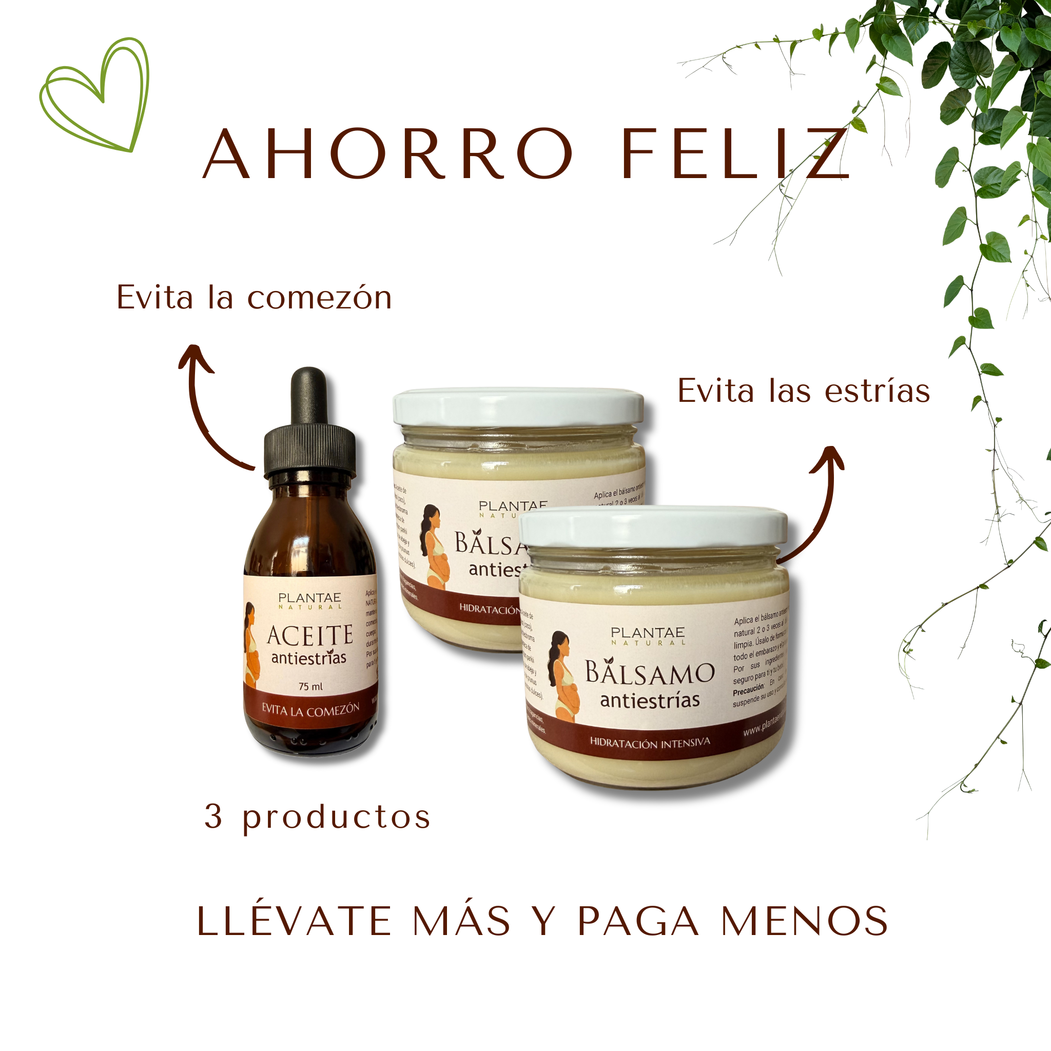KIT PANCITA FELIZ